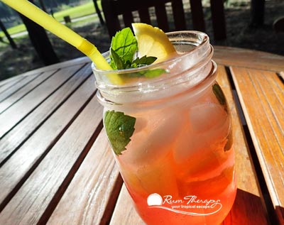 Pink-Lemonade-Mojito - copyright Rum Therapy