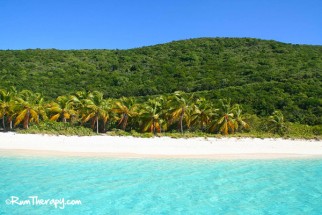 The Soggy Dollar Bar | Rum Therapy