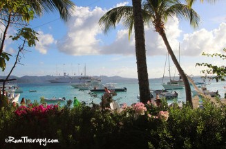 The Soggy Dollar Bar | Rum Therapy