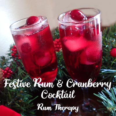 Festive Rum Cranberry Cocktail Rum Therapy